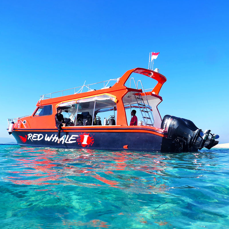 One-day Tour of Komodo in Indonesia