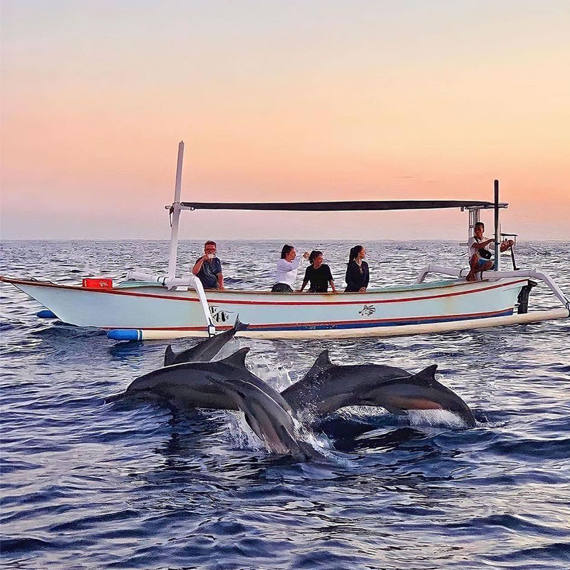 Lovina Dolphin chasing & Sunrise Experience(Minimum order for two people)