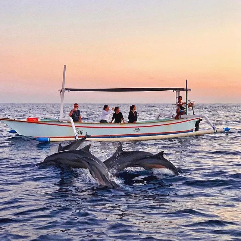【6 Days 5 Nights】Bali “Feed-Goals” Supreme Tour: Dolphin Chase. Nusa Penida · Go Viral on IG!