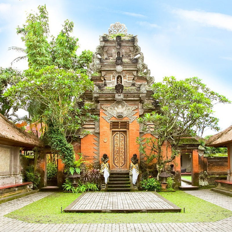 Lovina Dolphin Chase & Ubud Palace& Ubud Market(Minimum order for two people)